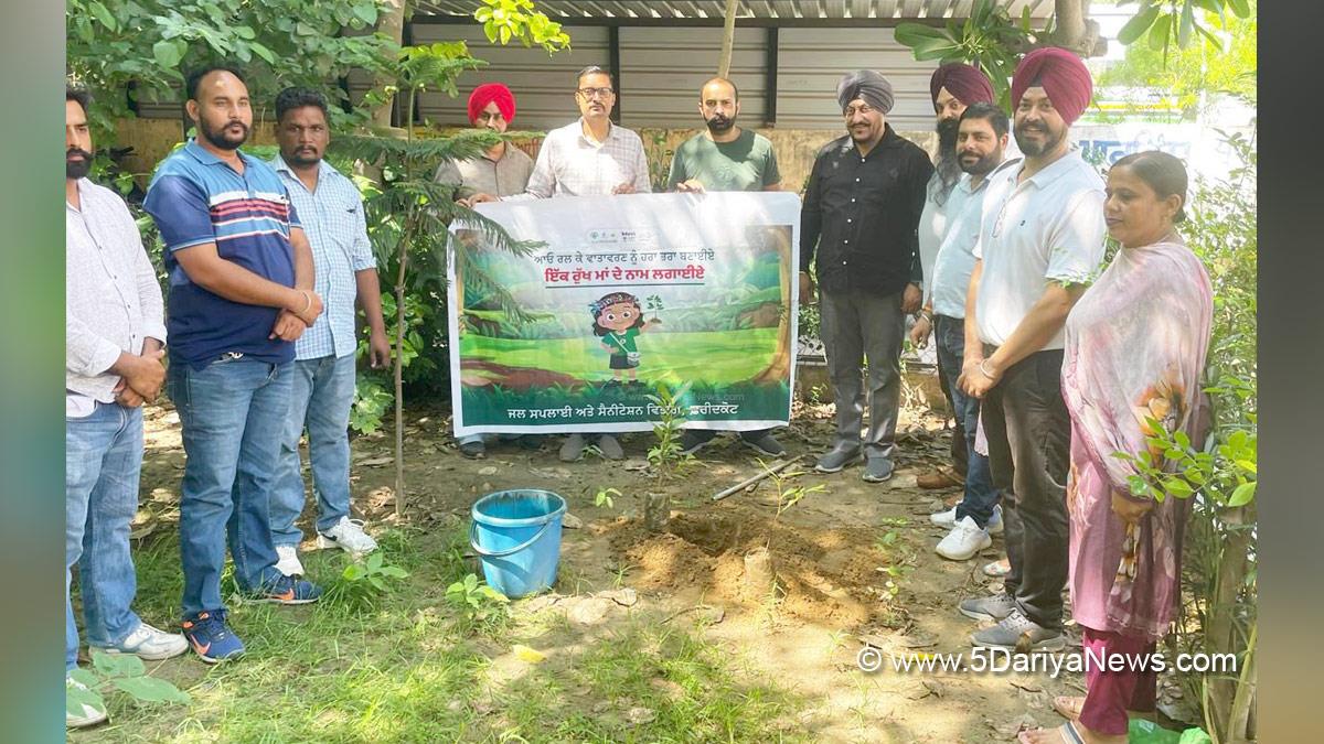 Tree Plantation, Forest Plantation, Plantation forestry, Tree Planting, Tree Plantation Drive, Plants Sapling, Tree Plantation Drive 2024, Faridkot