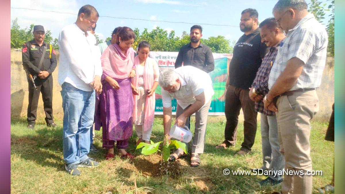 Lal Chand Kataruchak, AAP, Aam Aadmi Party, Aam Aadmi Party Punjab, AAP Punjab, Government of Punjab, Punjab Government, Tree Plantation, Forest Plantation, Plantation forestry, Tree Planting, Tree Plantation Drive, Plants Sapling, Tree Plantation Drive 2024