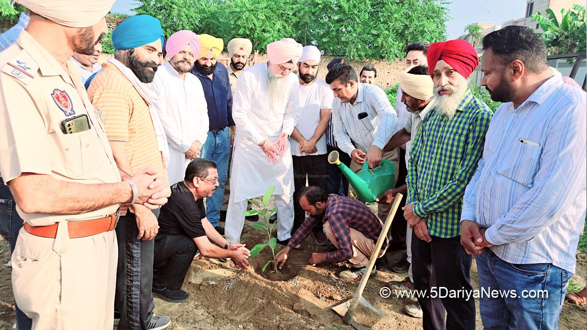 Kultar Singh Sandhwan, AAP, Aam Aadmi Party, AAP Punjab, Aam Aadmi Party Punjab, Government of Punjab, Punjab Government, Tree Plantation, Forest Plantation, Plantation forestry, Tree Planting, Tree Plantation Drive, Plants Sapling, Tree Plantation Drive 2024