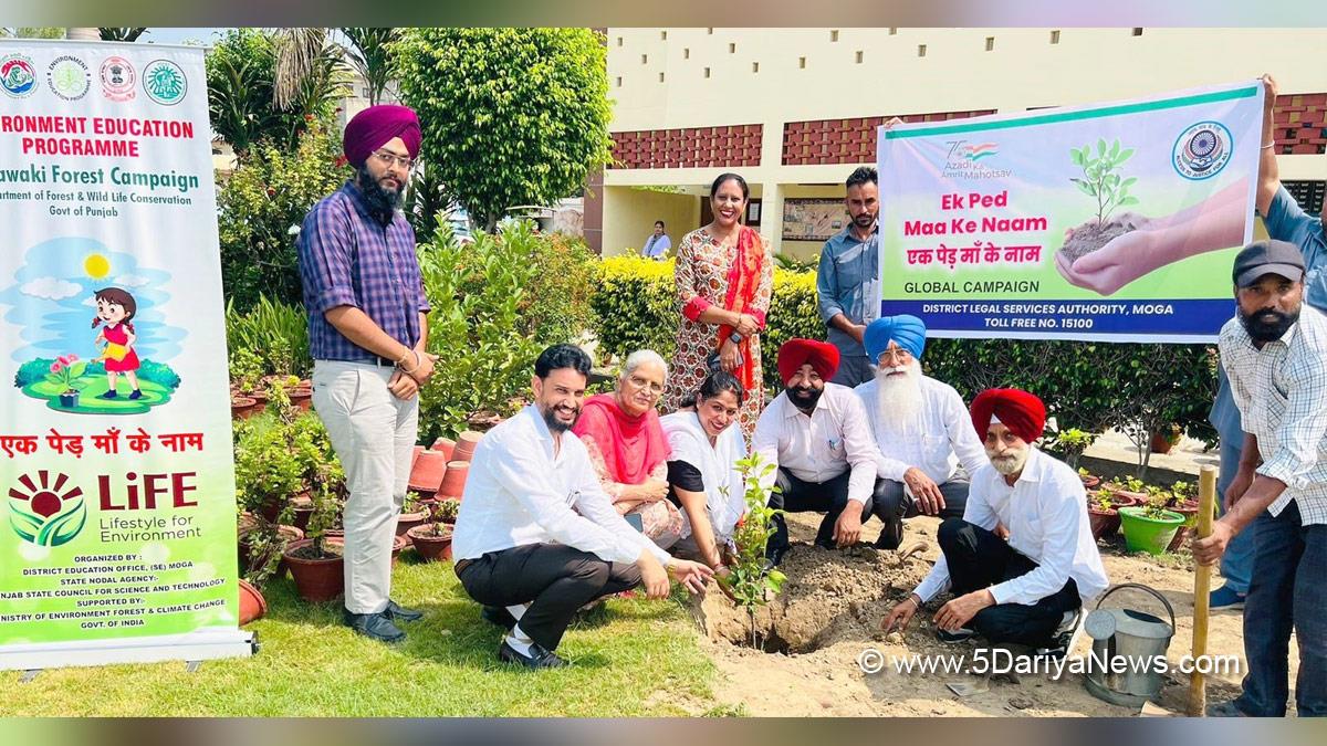 Tree Plantation, Forest Plantation, Plantation forestry, Tree Planting, Tree Plantation Drive, Plants Sapling, Tree Plantation Drive 2024, Moga
