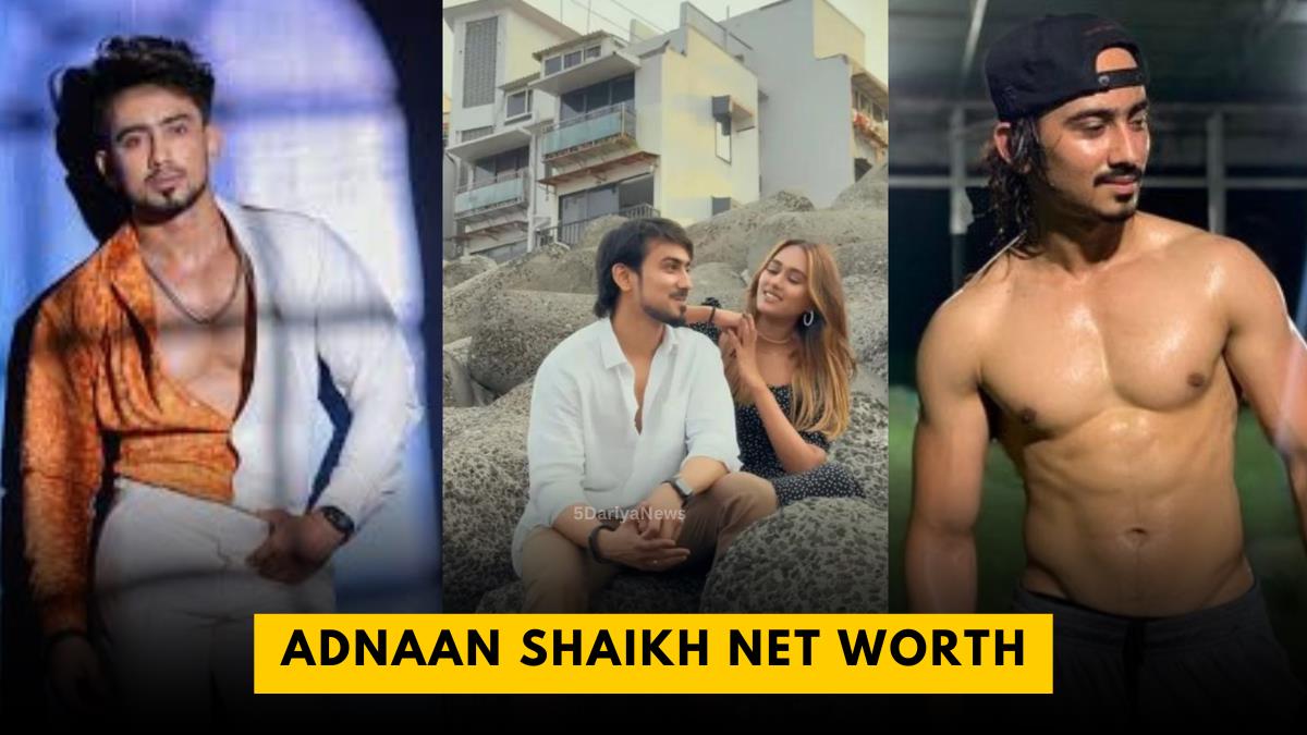 Adnaan Shaikh Net Worth