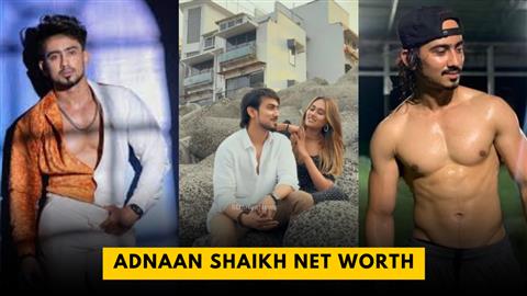 Adnaan Shaikh Net Worth