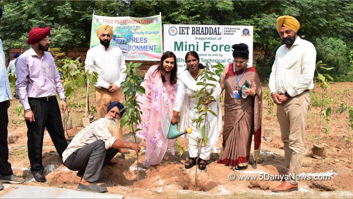 Judiciary, Tree Plantation, Forest Plantation, Plantation forestry, Tree Planting, Tree Plantation Drive, Plants Sapling, Tree Plantation Drive 2024