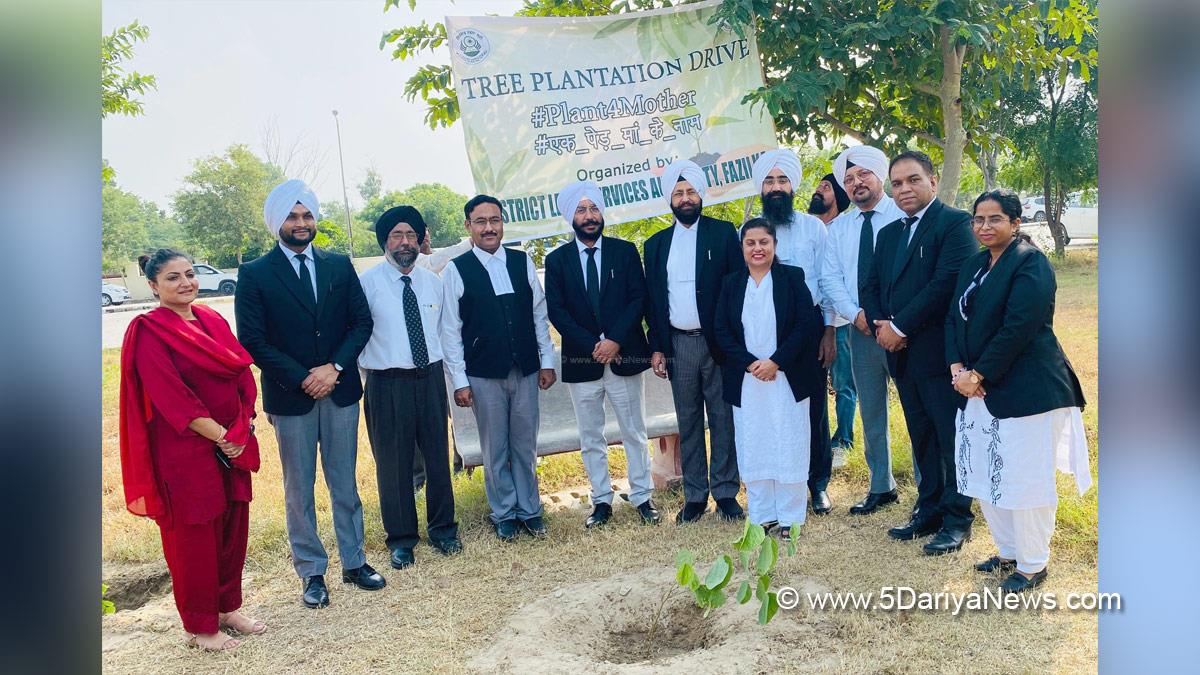 Judiciary, Tree Plantation, Forest Plantation, Plantation forestry, Tree Planting, Tree Plantation Drive, Plants Sapling, Tree Plantation Drive 2024