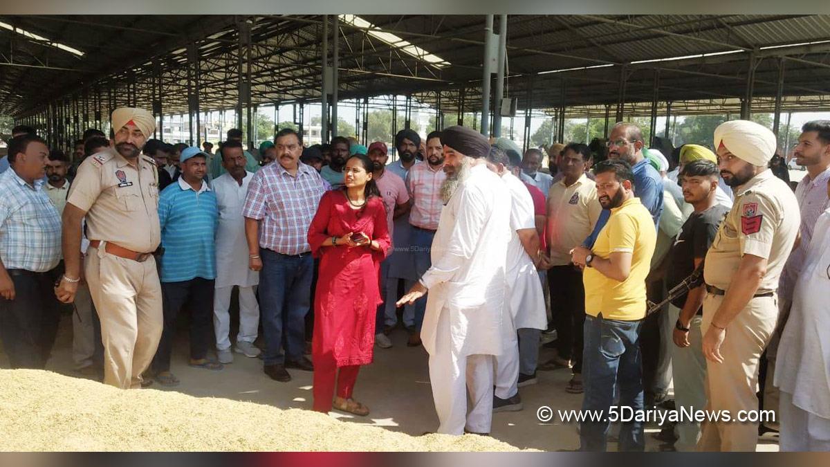 Preeti Yadav, Dr. Preeti Yadav, DC Patiala, Deputy Commissioner Patiala, Patiala