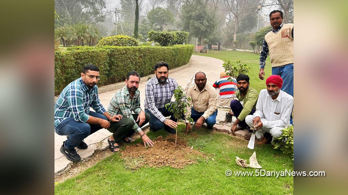 Tree Plantation, Forest Plantation, Plantation forestry, Tree Planting, Tree Plantation Drive, Plants Sapling, Tree Plantation Drive 2024, Civil Surgeon Mansa, Mansa