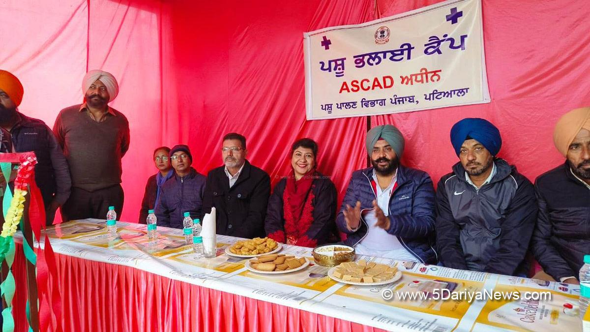 Harmeet Singh Pathanmajra, Sanour, AAP, Aam Aadmi Party, Aam Aadmi Party Punjab, AAP Punjab