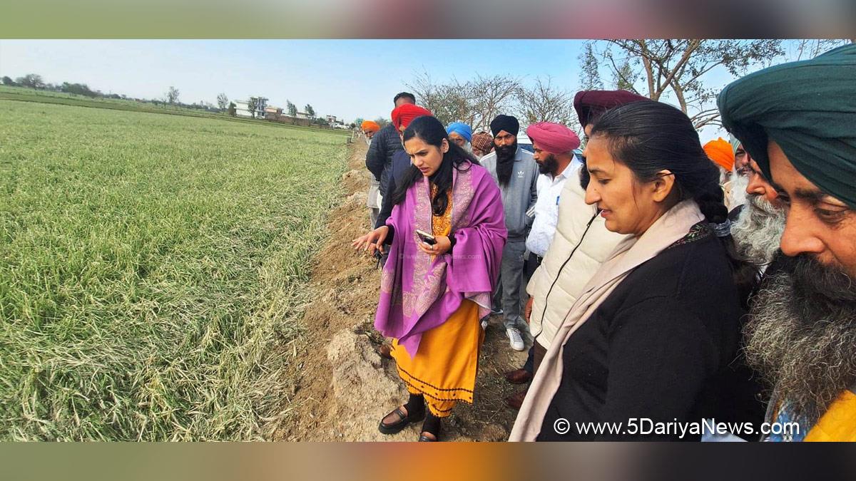 Sakshi Sawhney, DC Amritsar, Amritsar, Deputy Commissioner Amritsar