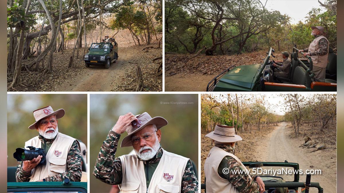 Narendra Modi, Modi, BJP, Bharatiya Janata Party, Prime Minister of India, Prime Minister, Narendra Damodardas Modi, Safari, Gir Safari, World Wildlife Day