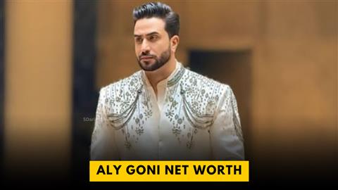 Aly Goni Net Worth