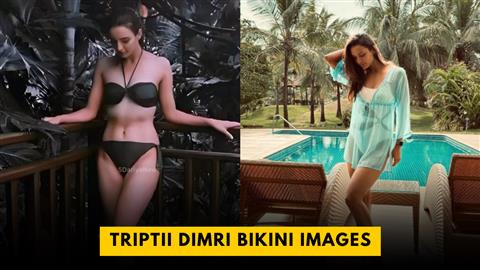 Triptii Dimri Bikini