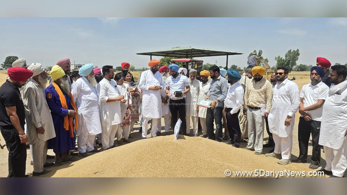 Kuldeep Singh Dhaliwal, AAP, Aam Aadmi Party, Aam Aadmi Party Punjab, AAP Punjab, Government of Punjab, Punjab Government