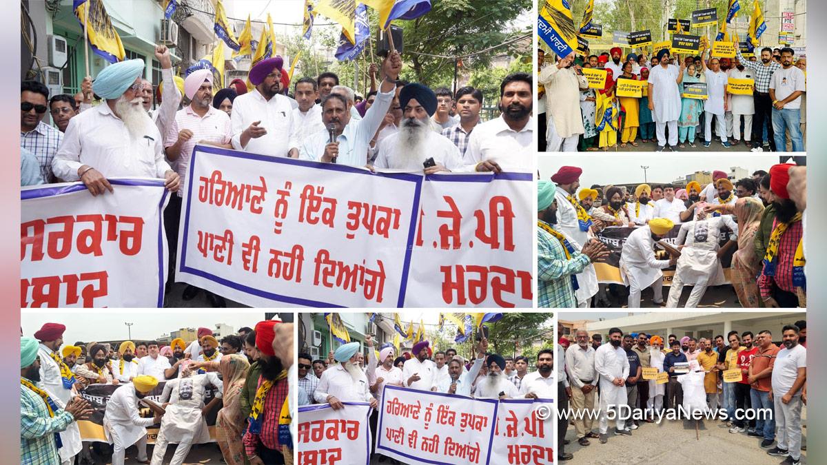 Lal Chand Kataruchak, Kuldeep Singh Dhaliwal, Dr Ravajot Singh, Tarunpreet Singh Sond, AAP, Aam Aadmi Party, Aam Aadmi Party Punjab, AAP Punjab, Bhakra Beas Management Board, BBMB, Protest, Agitation, Demonstration