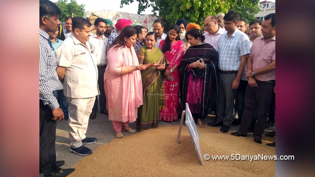 Nimuben Jayantibhai Bambhaniya, Bharatiya Janata Party, BJP, Rajpura, Preeti Yadav, Dr Preeti Yadav, DC Patiala, Deputy Commissioner Patiala, Patiala