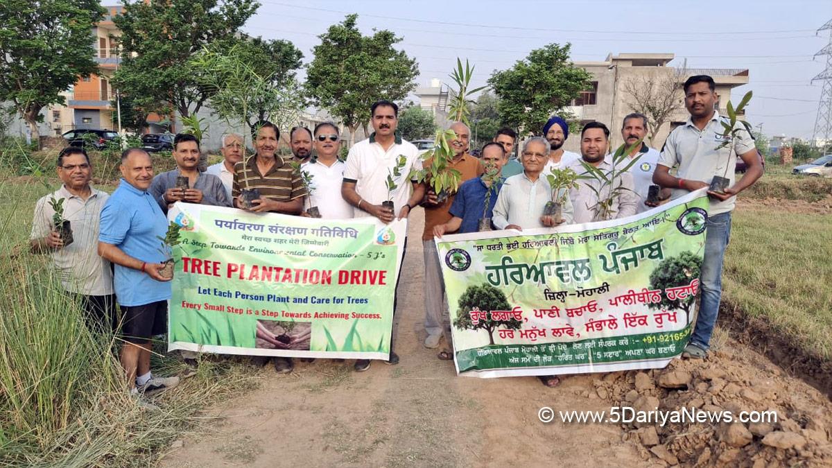 Tree Plantation, Forest Plantation, Plantation forestry, Tree Planting, Tree Plantation Drive, Plants Sapling, Tree Plantation Drive 2025, Kharar, Kharar News, News of Kharar, Kharar Updates