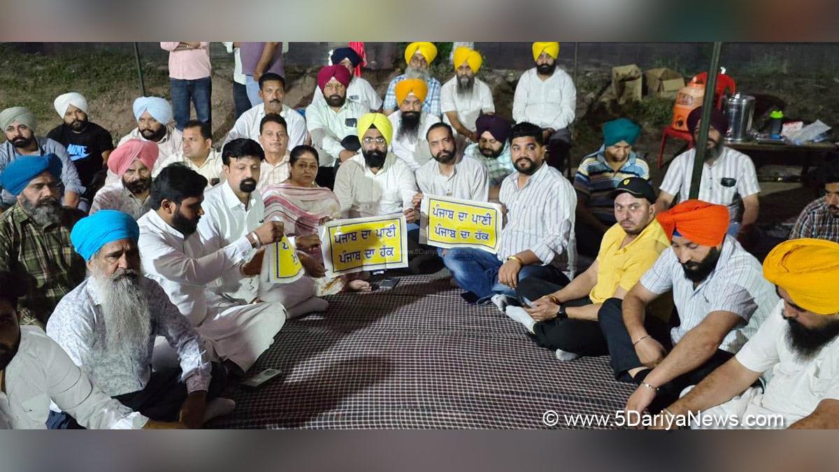 Rajinder Pal Kaur Chhina, Rajinder Pal Kaur, AAP, Aam Aadmi Party, Aam Aadmi Party Punjab, AAP Punjab, Protest, Agitation, Demonstration