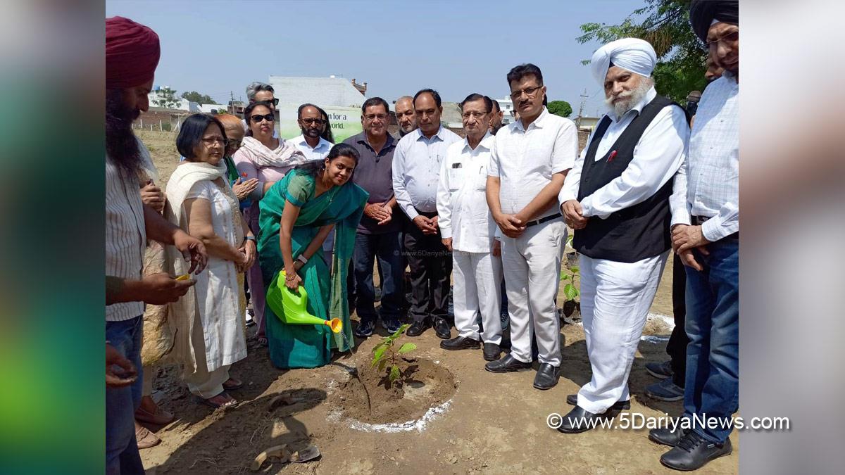 Aashika Jain, DC Hoshiarpur, Deputy Commissioner Hoshiarpur, Hoshiarpur, Tree Plantation, Forest Plantation, Plantation forestry, Tree Planting, Tree Plantation Drive, Plants Sapling, World Environment Day