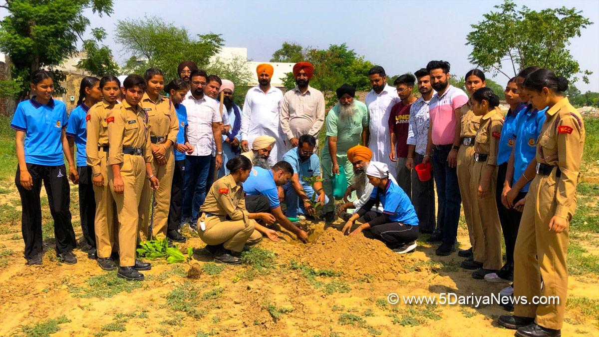 Tree Plantation, Forest Plantation, Plantation forestry, Tree Planting, Tree Plantation Drive, Plants Sapling, World Environment Day, Barnala