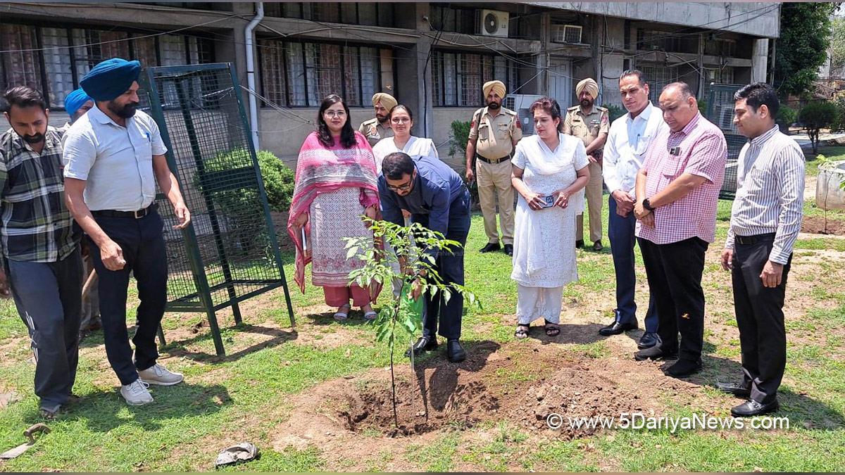 Dr Sona Thind, DC Fatehgarh Sahib, Fatehgarh Sahib, Deputy Commissioner Fatehgarh Sahib, Tree Plantation, Forest Plantation, Plantation forestry, Tree Planting, Tree Plantation Drive, Plants Sapling, World Environment Day