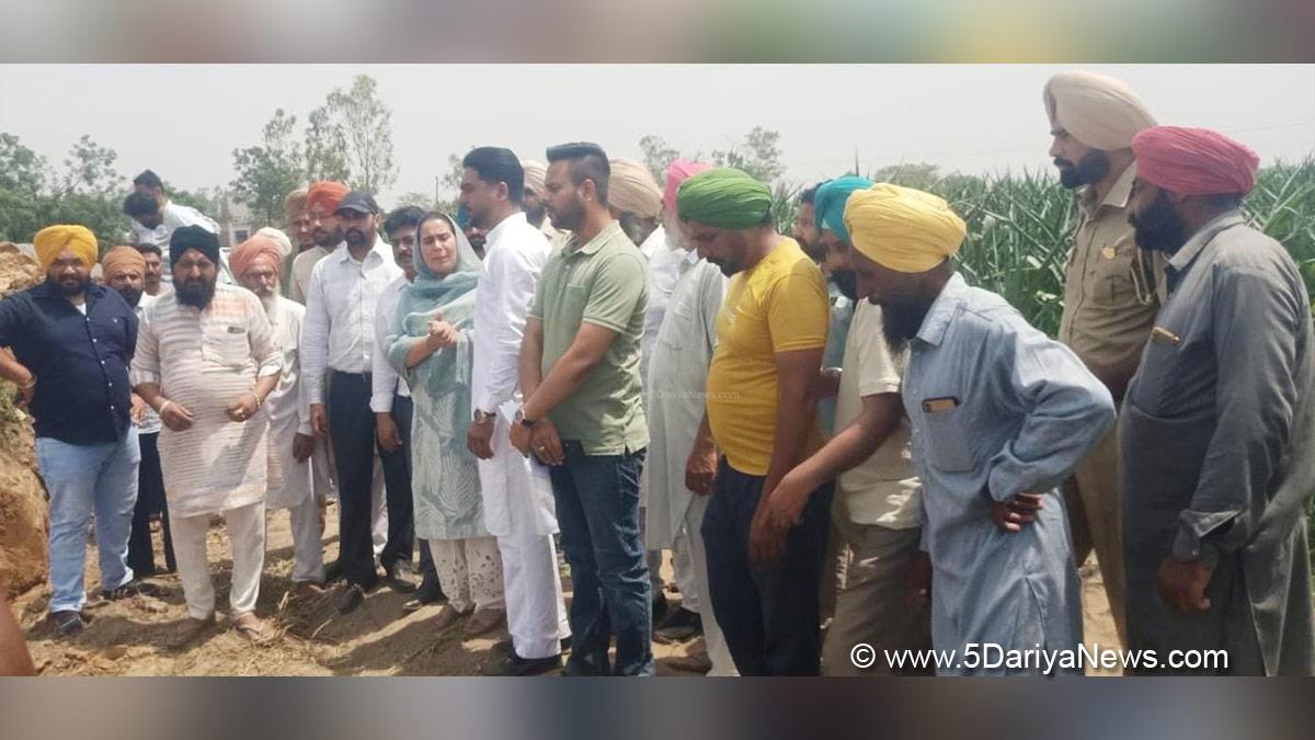 Narinder Kaur Bharaj, Sangrur, AAP, Aam Aadmi Party, Aam Aadmi Party Punjab, AAP Punjab
