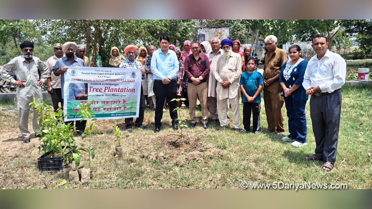 Tree Plantation, Forest Plantation, Plantation forestry, Tree Planting, Tree Plantation Drive, Plants Sapling