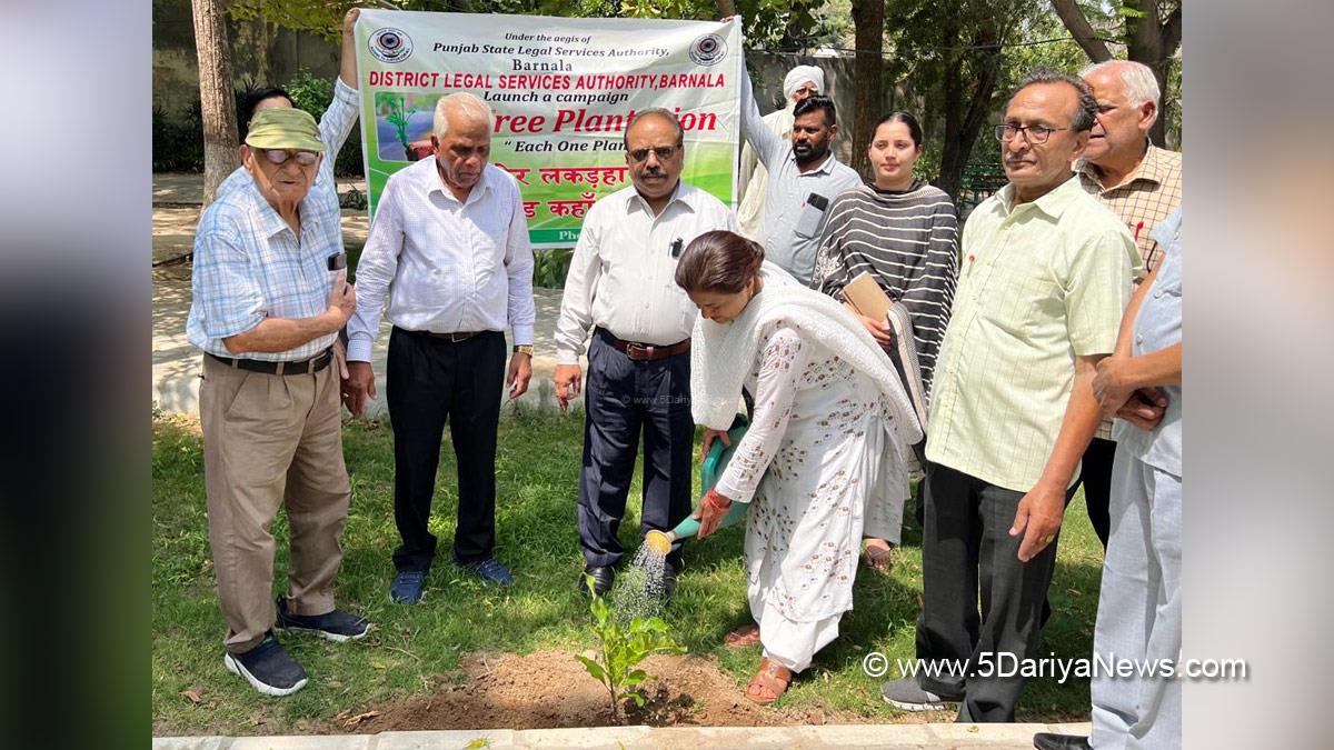 Tree Plantation, Forest Plantation, Plantation forestry, Tree Planting, Tree Plantation Drive, Plants Sapling, Barnala