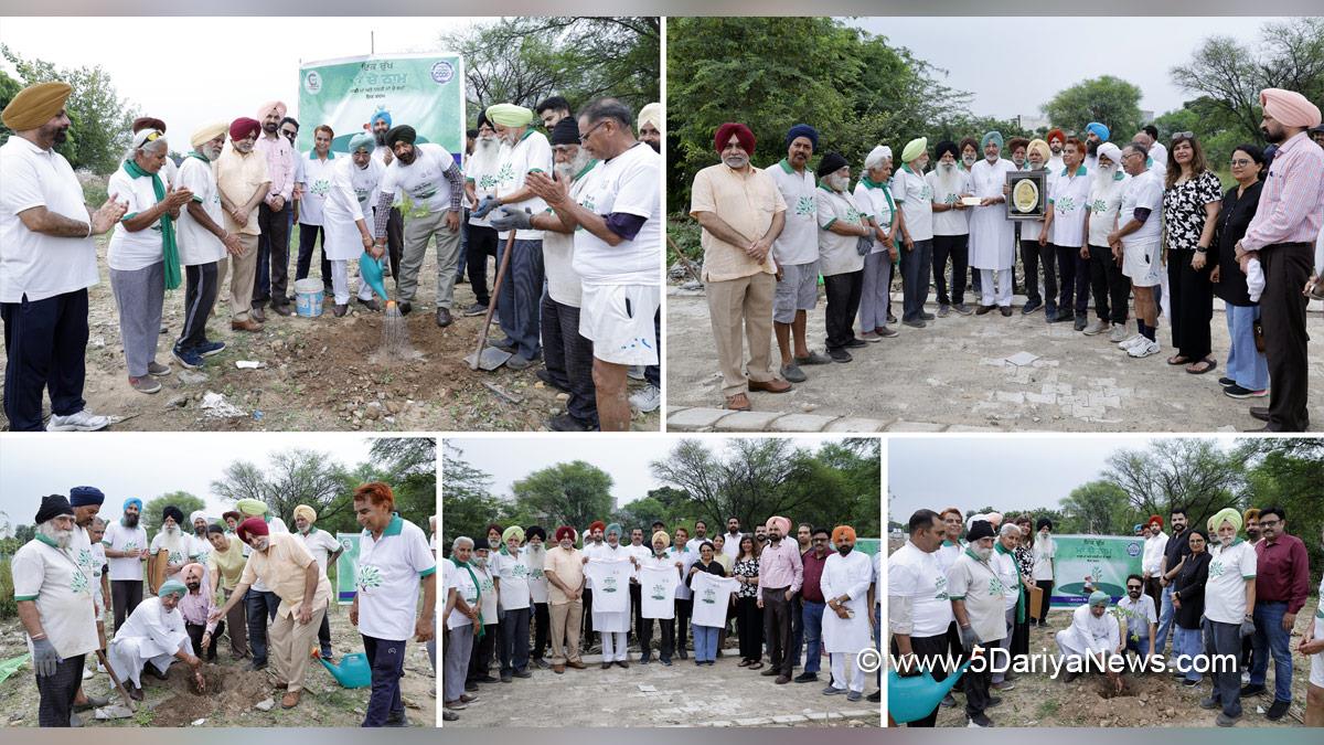 Tree Plantation, Forest Plantation, Plantation forestry, Tree Planting, Tree Plantation Drive, Plants Sapling, Tree Plantation Drive 2025, Ek Ped Maa Ke Naam