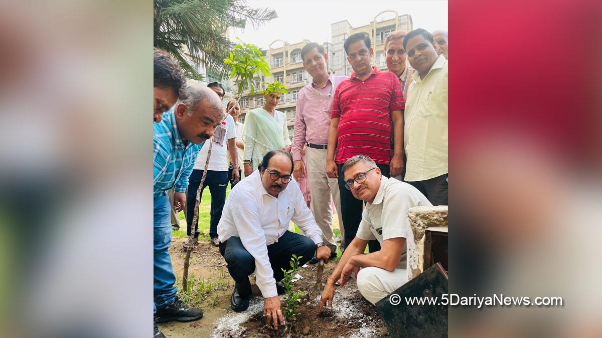 Tree Plantation, Forest Plantation, Plantation forestry, Tree Planting, Tree Plantation Drive, Plants Sapling, Tree Plantation Drive 2025