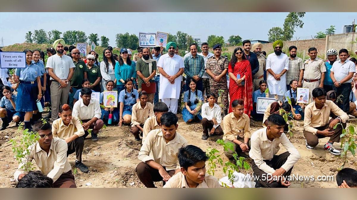 Kuljit Singh Randhawa, AAP, Aam Aadmi Party, AAP Punjab, Aam Aadmi Party Punjab, Dera Bassi, Tree Plantation, Forest Plantation, Plantation forestry, Tree Planting, Tree Plantation Drive, Plants Sapling