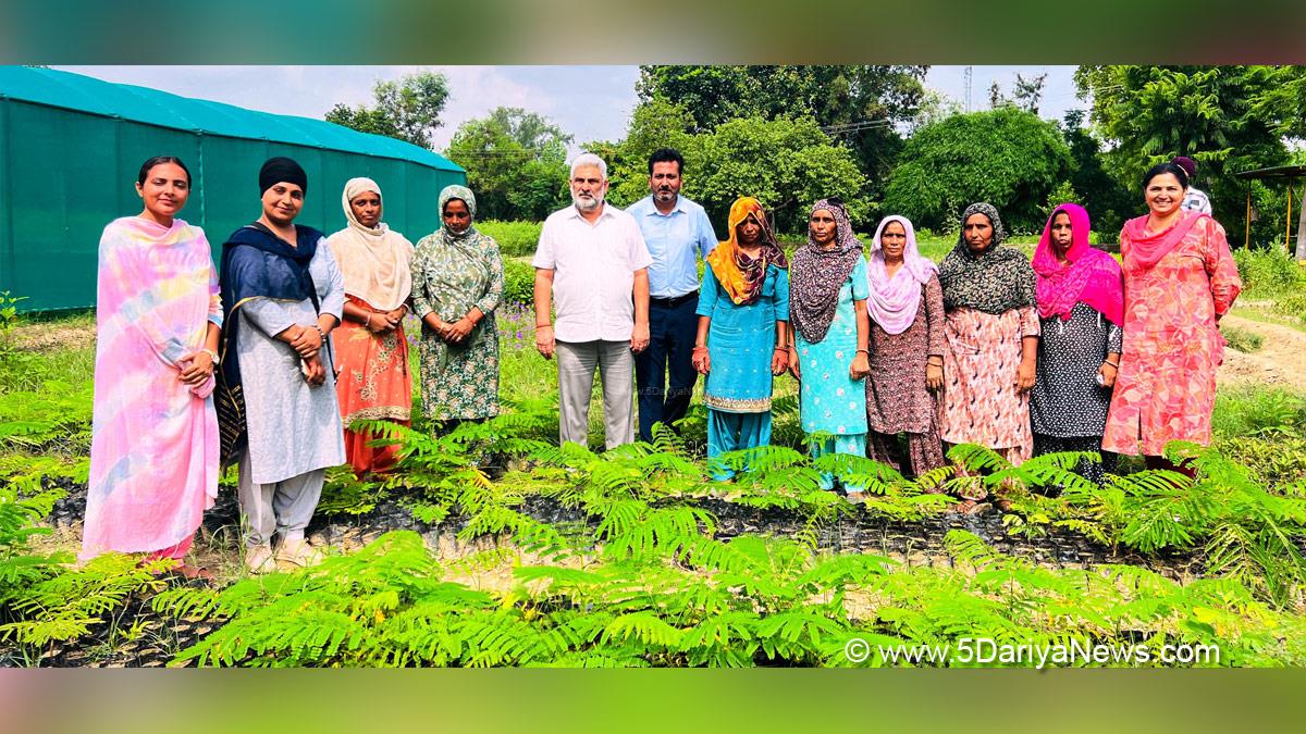 Lal Chand Kataruchak, AAP, Aam Aadmi Party, Aam Aadmi Party Punjab, AAP Punjab, Government of Punjab, Punjab Government, Tree Plantation, Forest Plantation, Plantation forestry, Tree Planting, Tree Plantation Drive, Plants Sapling