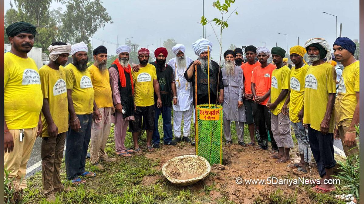 Tree Plantation, Forest Plantation, Plantation forestry, Tree Planting, Tree Plantation Drive, Plants Sapling
