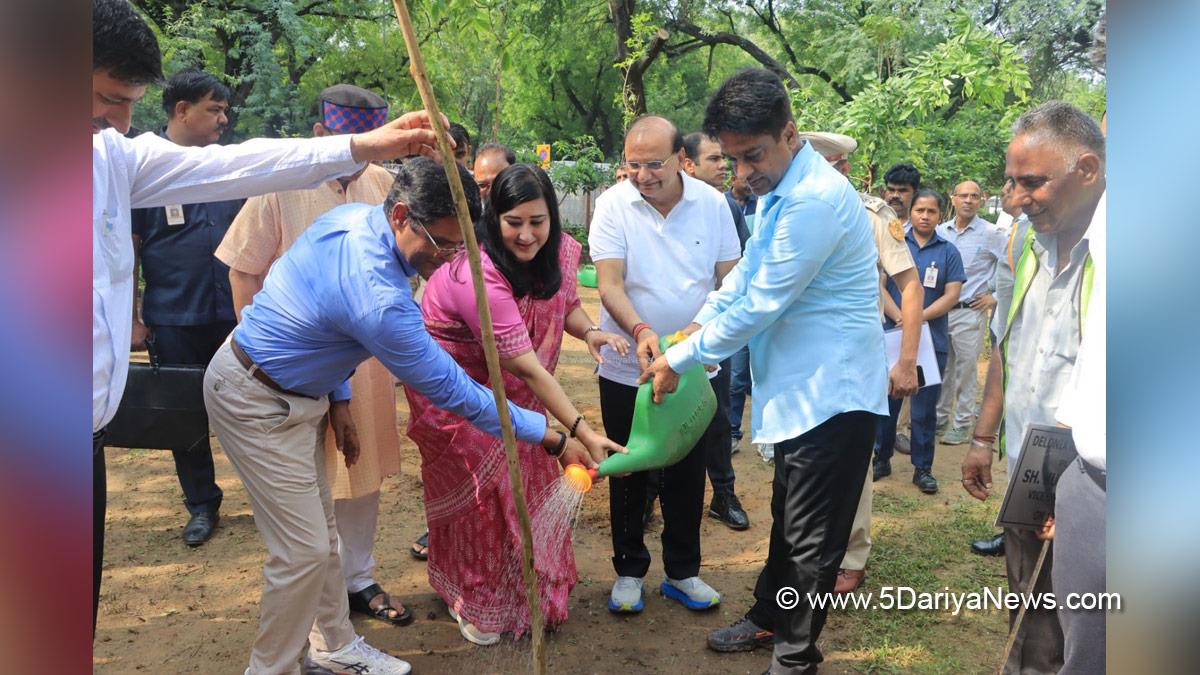 VK Saxena, Delhi Lieutenant Governor, New Delhi Municipal Council, NDMC, Ek Ped Maa Ke Naam, Tree Plantation, Forest Plantation, Plantation forestry, Tree Planting, Tree Plantation Drive, Plants Sapling, Tree Plantation Drive 2025