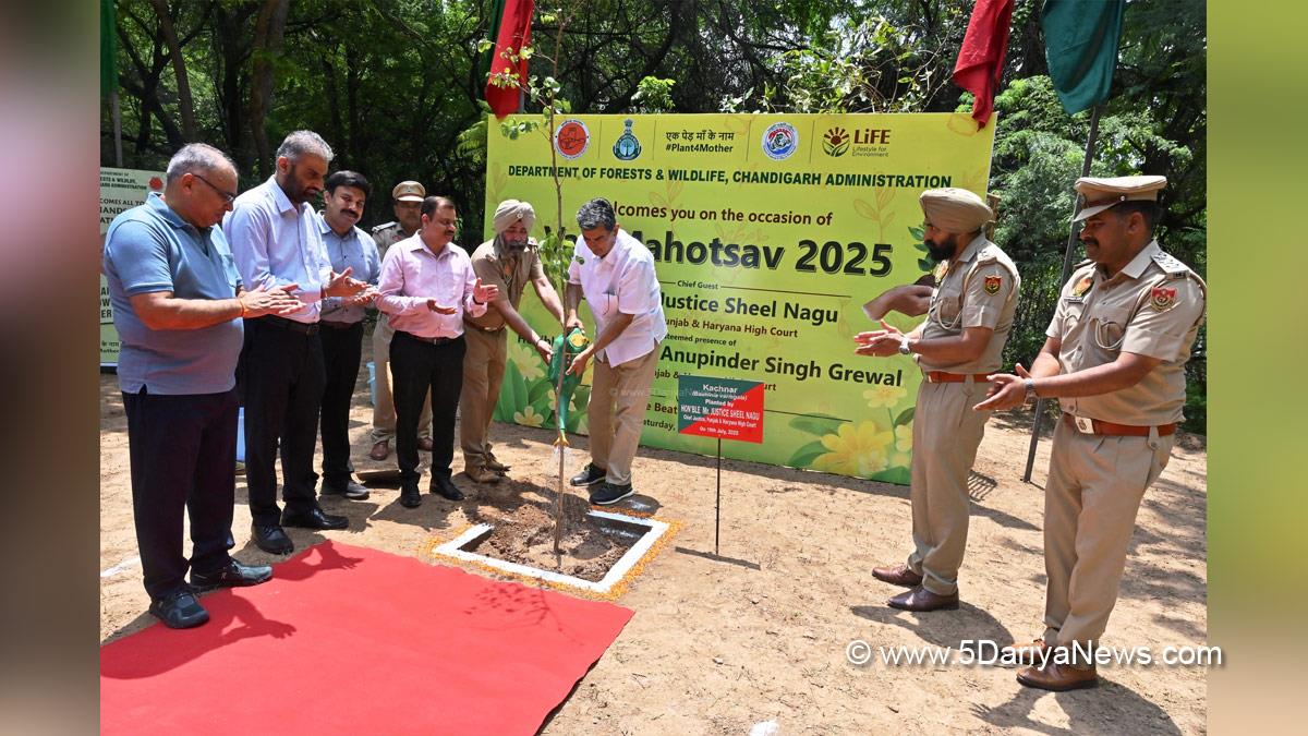 Tree Plantation, Forest Plantation, Plantation forestry, Tree Planting, Tree Plantation Drive, Plants Sapling, Tree Plantation Drive 2025, Ek Ped Maa Ke Naam, Justice Sheel Nagu,Chandigarh  