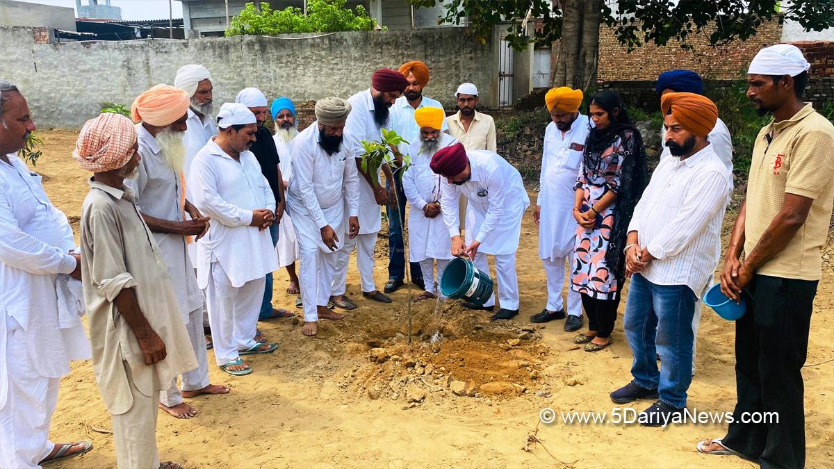 AAP, Aam Aadmi Party, Aam Aadmi Party Punjab, AAP Punjab, Tree Plantation, Forest Plantation, Plantation forestry, Tree Planting, Tree Plantation Drive, Plants Sapling, Tree Plantation Drive 2025