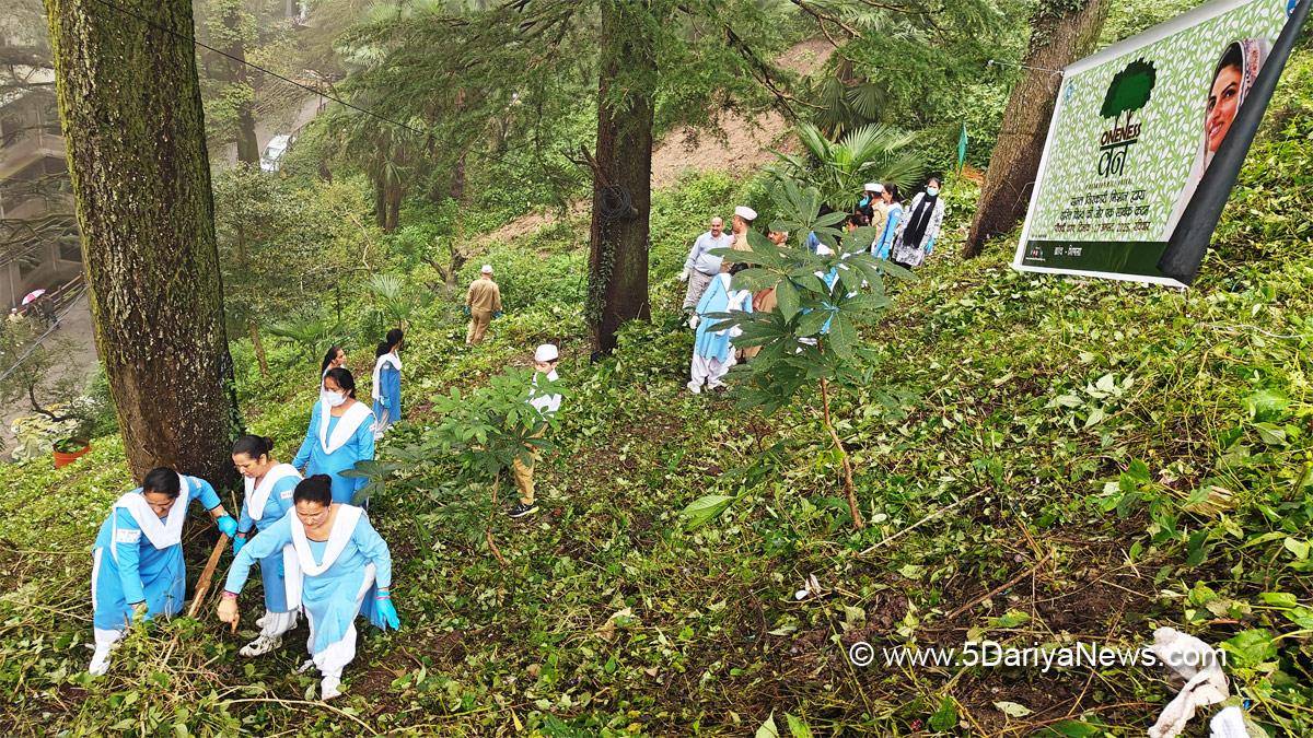 Nirankari, Satguru Mata Sudiksha ji Maharaj, Sant Nirankari charitable Foundation, Sant Nirankari Mission, Tree Plantation, Forest Plantation, Plantation forestry, Tree Planting, Tree Plantation Drive, Plants Sapling, Tree Plantation Drive 2025