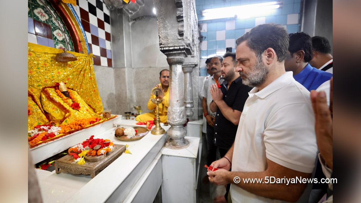 Rahul Gandhi, Indian National Congress, Congress, All India Congress Committee,Congress Working Committee, CWC