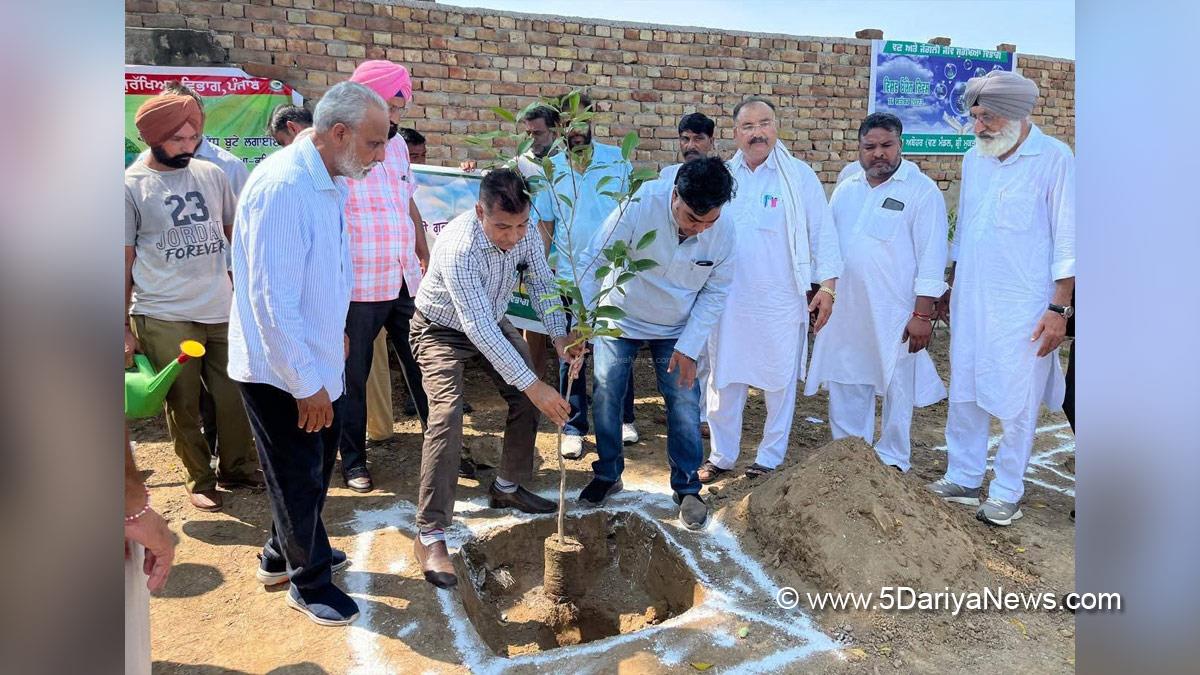 Amandeep Singh Goldy Musafir, Amandeep Singh Goldy, Balluana, Fazilka, Abohar, AAP, Aam Aadmi Party, Aam Aadmi Party Punjab, AAP Punjab, Tree Plantation, Forest Plantation, Plantation forestry, Tree Planting, Tree Plantation Drive, Plants Sapling, Tree Plantation Drive 2025