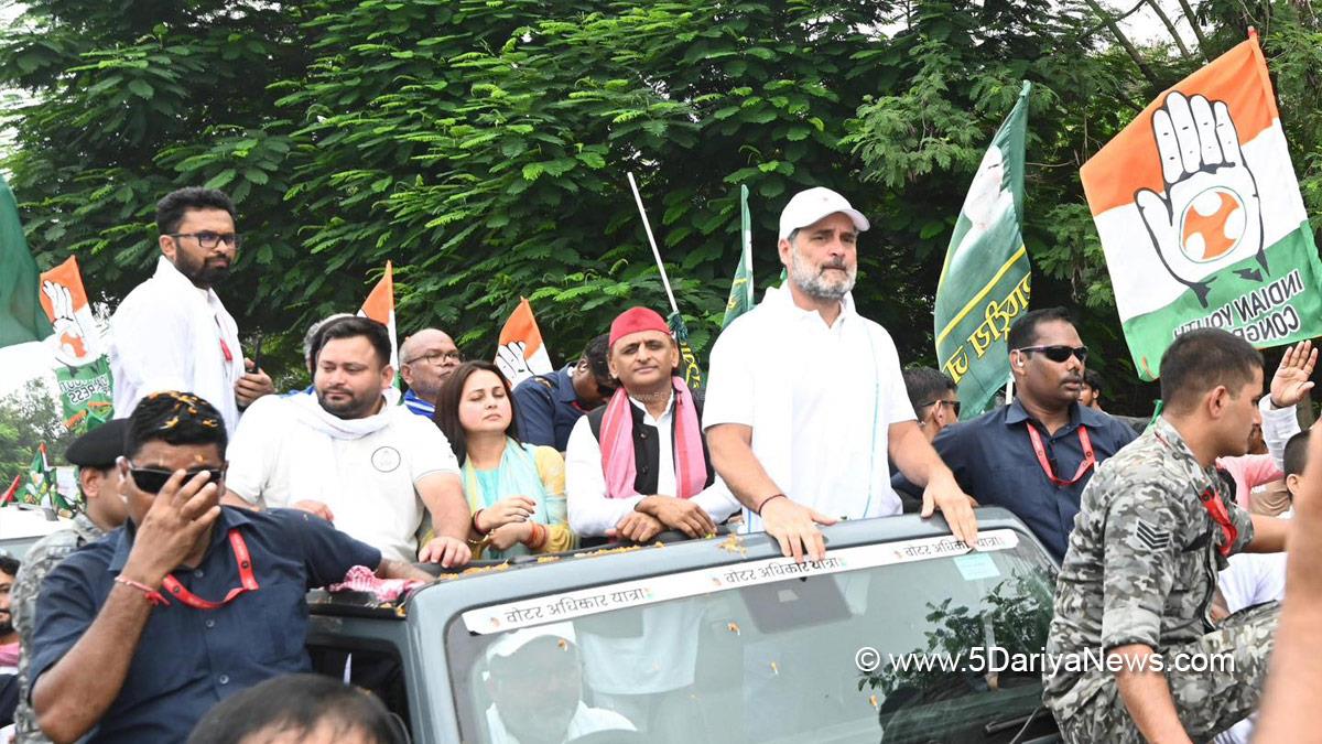 Rahul Gandhi, Indian National Congress, Congress, All India Congress Committee,Congress Working Committee, CWC, Akhilesh Yadav, Tejashwi Yadav