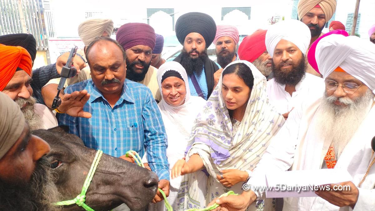 Sakshi Sawhney, DC Amritsar, Amritsar, Deputy Commissioner Amritsar