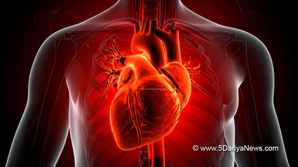 Health, Study, Research, Researchers, World Health Organization, WHO