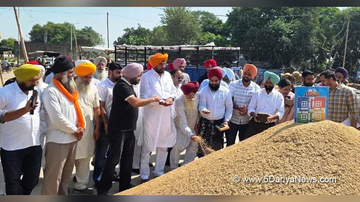 Kuldeep Singh Dhaliwal, AAP, Aam Aadmi Party, Aam Aadmi Party Punjab, AAP Punjab
