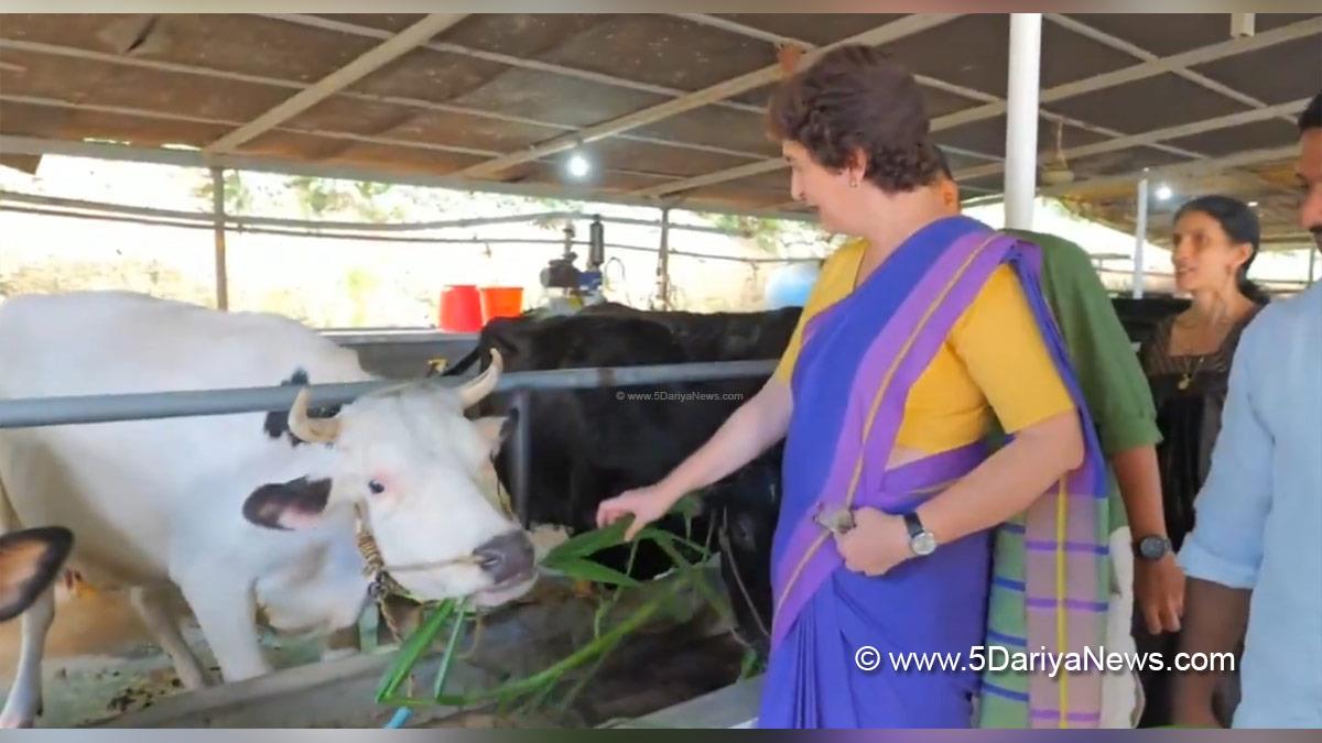 Priyanka Gandhi, Priyanka Gandhi Vadra, Uttar Pradesh, Indian National Congress, Congress, All India Congress Committee