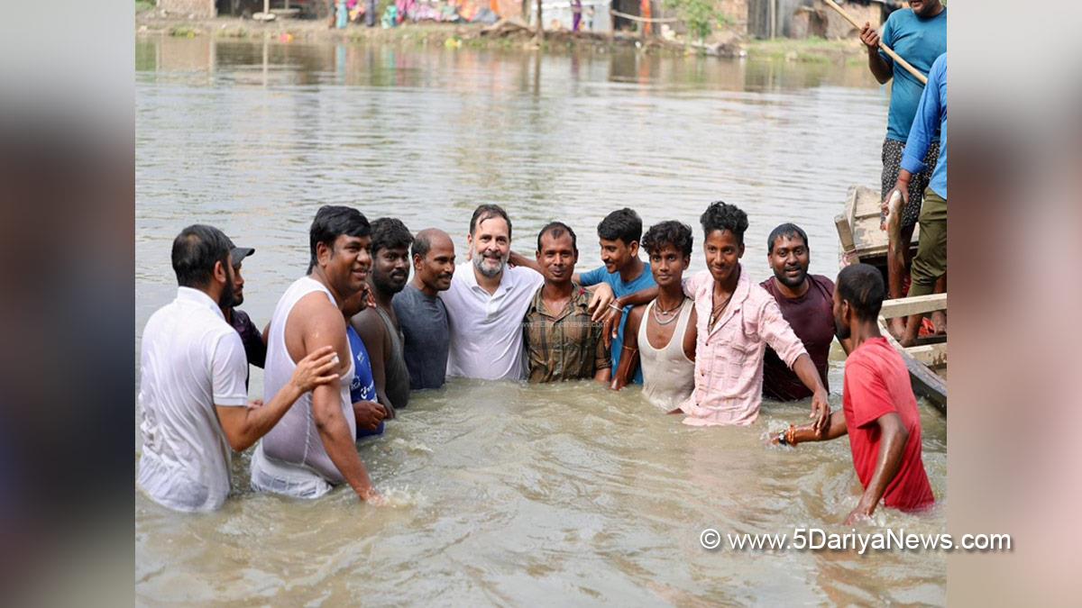 Rahul Gandhi, Indian National Congress, Congress, All India Congress Committee, Congress Working Committee, CWC