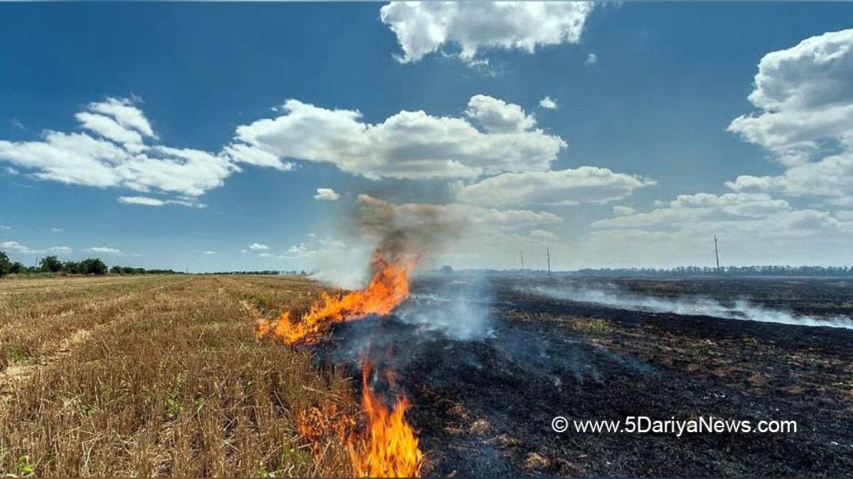 Stubble Burning, Rajesh Verma, Air Quality Management, CAQM