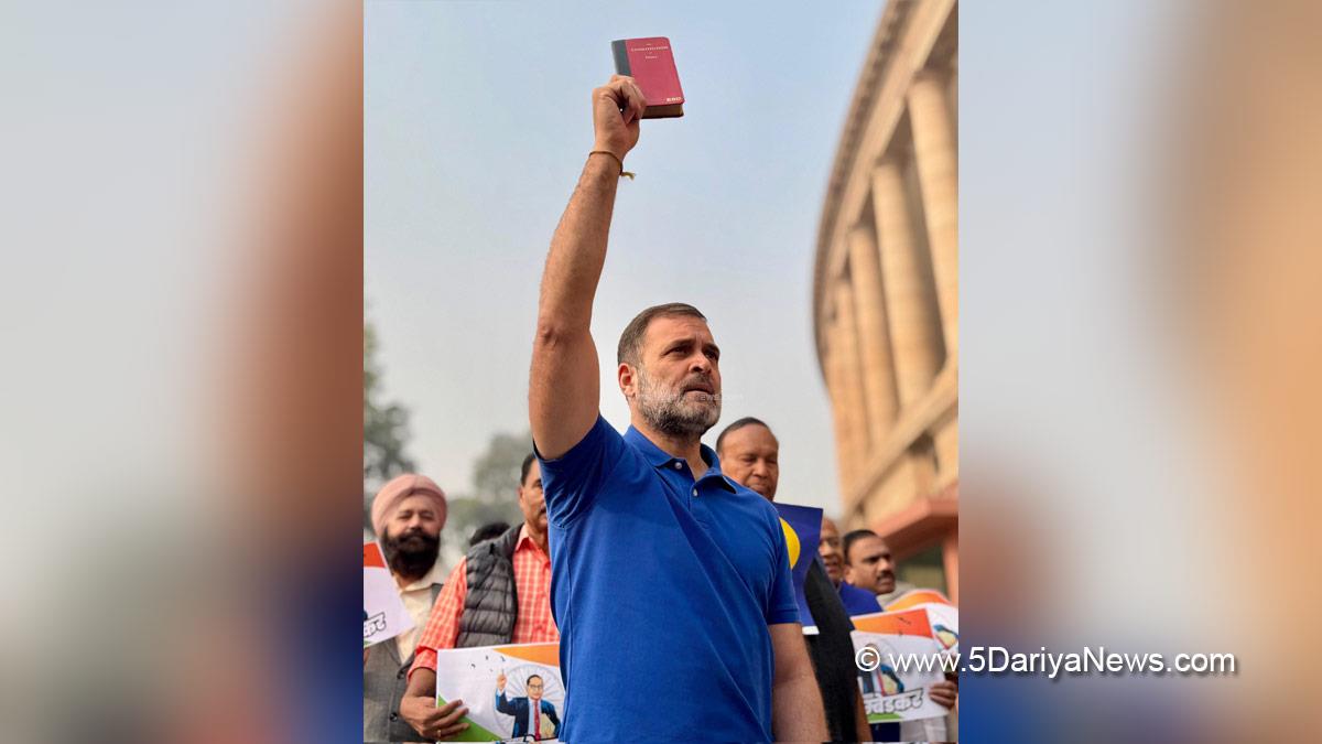Rahul Gandhi, Indian National Congress, Congress, All India Congress Committee, Congress Working Committee, CWC, Samvidhan Divas, Constitution Day
