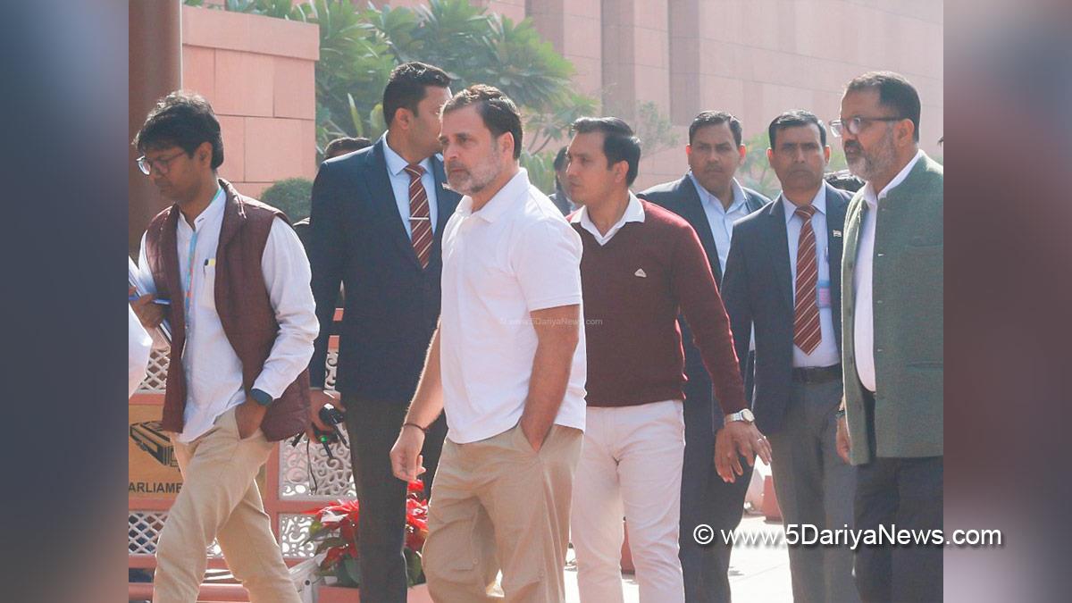Rahul Gandhi, Indian National Congress, Congress, All India Congress Committee, Congress Working Committee, CWC