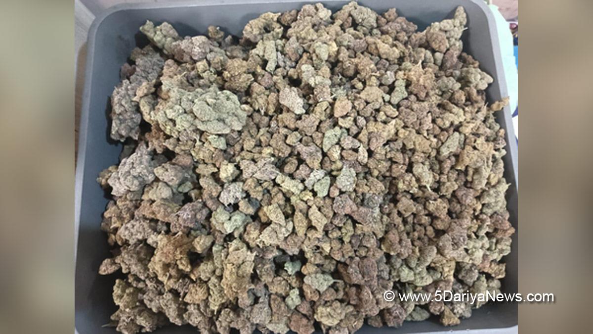 Crime Nnews, Crime News India, Hydroponic Weed, Mumbai Airport