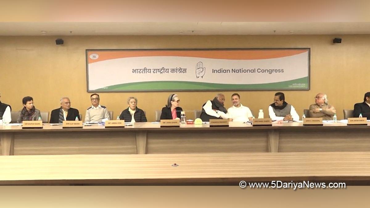 Rahul Gandhi, Indian National Congress, Congress, All India Congress Committee, Congress Working Committee, CWC, Sonia Gandhi, Mallikarjun Kharge