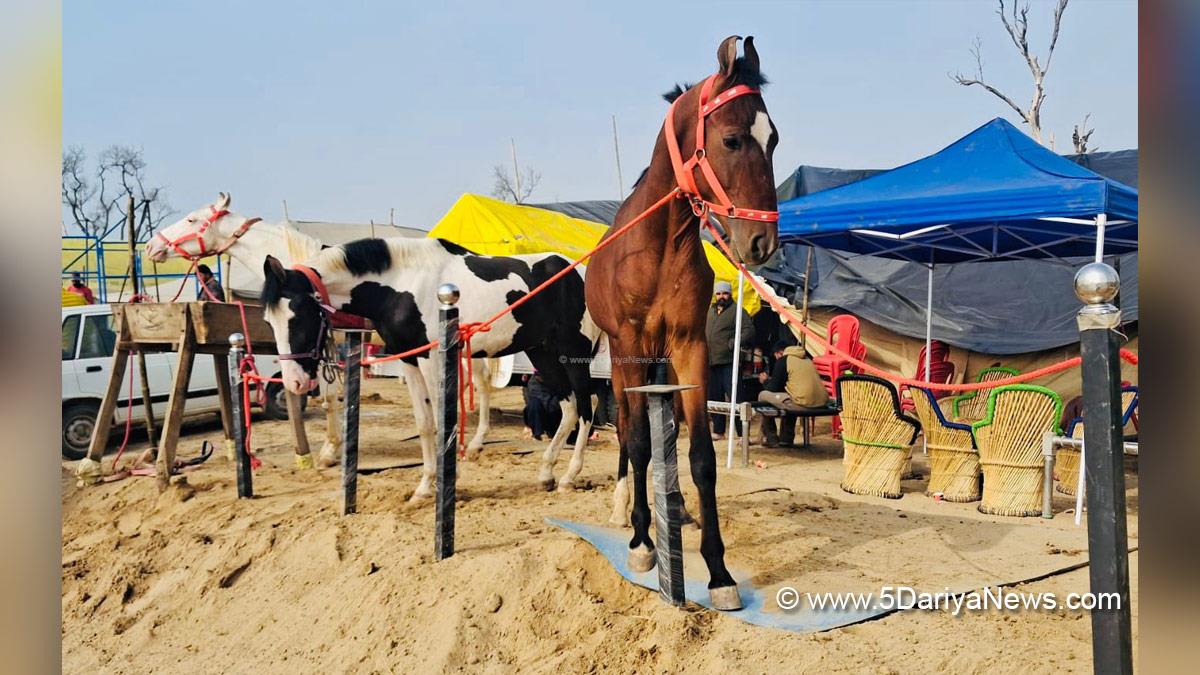 Sri Muktsar Sahib, Maghi Mela