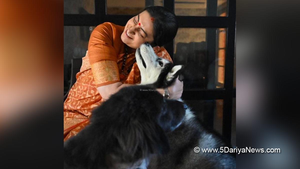 TV, Television, Entertainment, Mumbai, Actor, Actress, Mumbai News, Smriti Irani